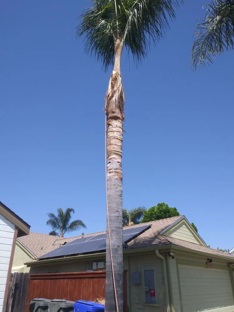 Professional lawn care service experts serving Fallbrook, CA - I Haul Landscape Services