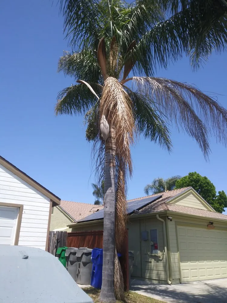 Top-rated landscape design in Fallbrook, CA by I Haul Landscape Services