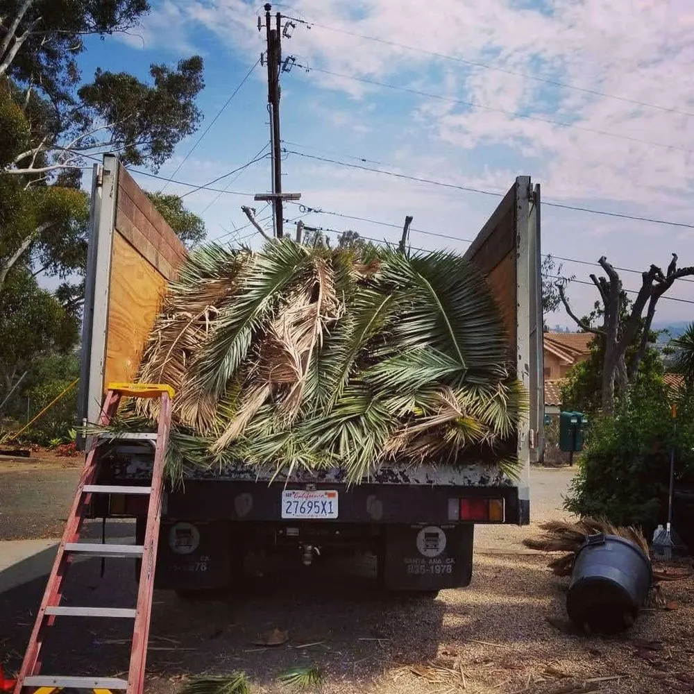 Trusted yard maintenance for year-round maintenance in Fallbrook, CA by I Haul Landscape Services