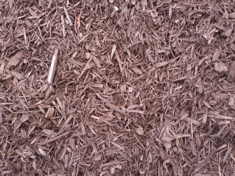 Local lawn care service experts serving Fallbrook, CA - I Haul Landscape Services