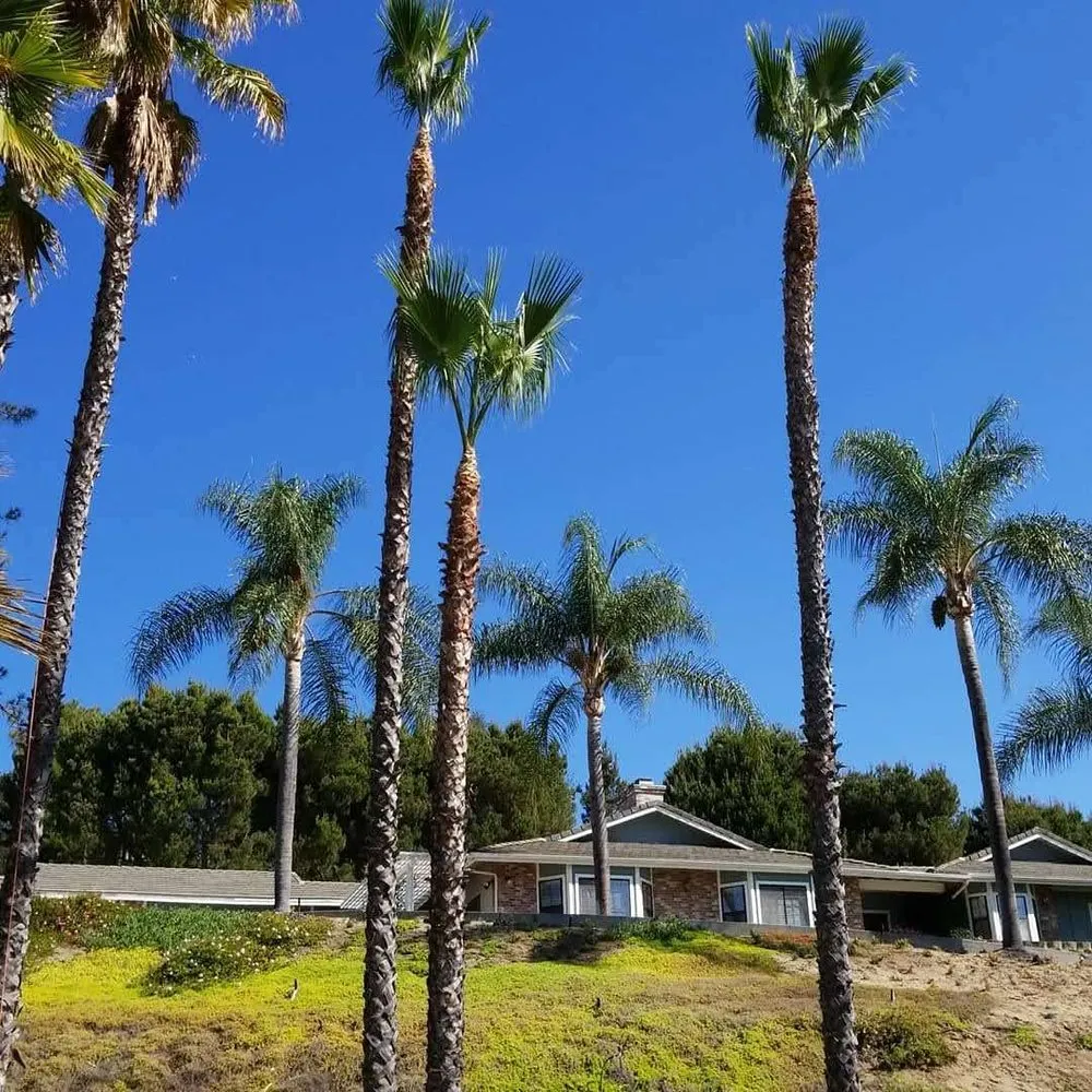 Reliable lawn mowing service in Fallbrook, CA - I Haul Landscape Services