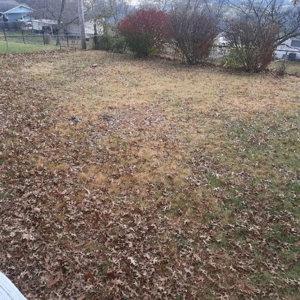 Expert landscaping services for residential properties in Saint Louis, MO by I Have A Guy-Lawn Services