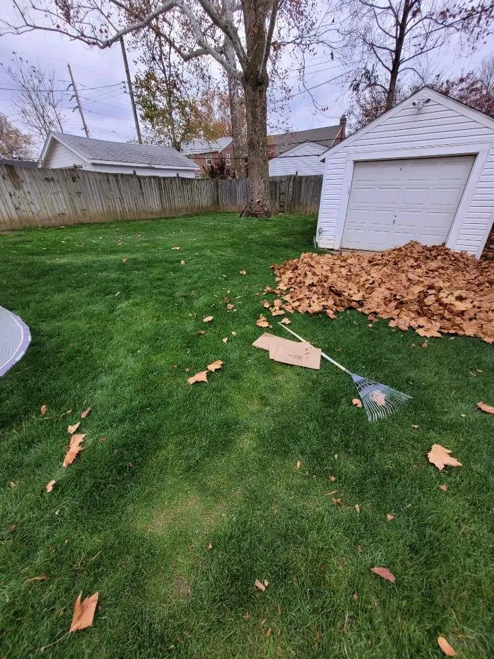 Professional landscaping services near you across Saint Louis, MO - I Have A Guy-Lawn Services