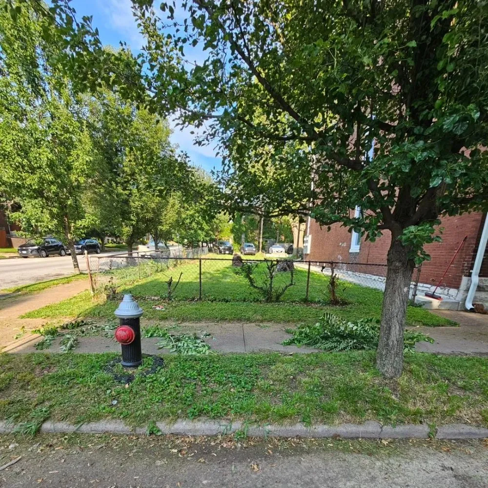 Trusted garden landscaping for beautiful yards across Saint Louis, MO - I Have A Guy-Lawn Services