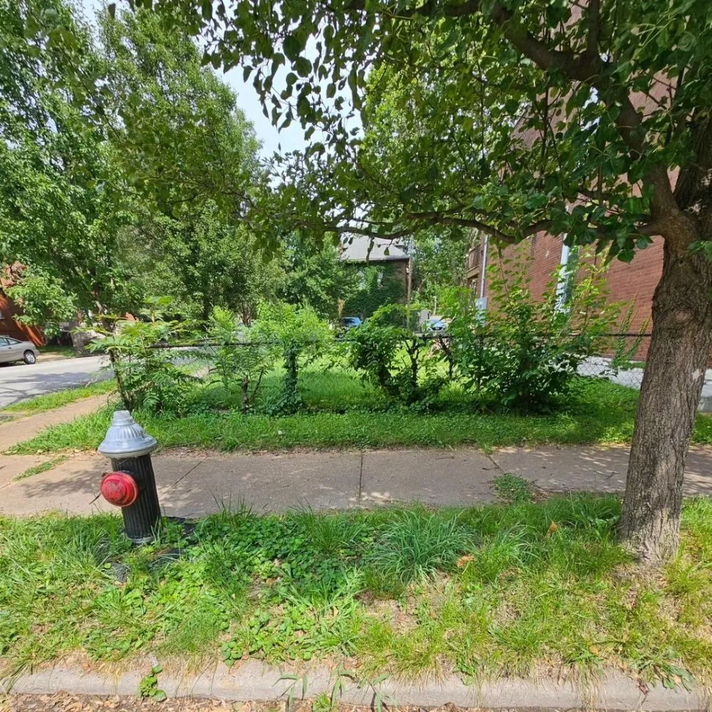 Local landscaping services for homes in Saint Louis, MO by I Have A Guy-Lawn Services