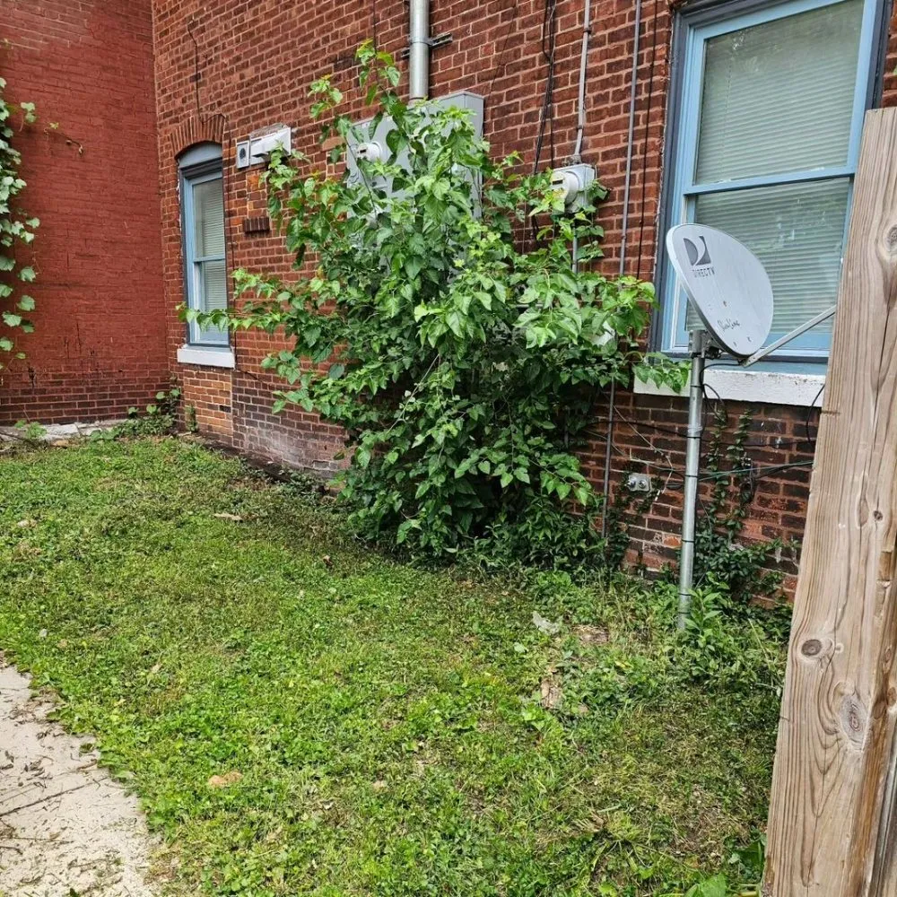 Local landscape design experts serving Saint Louis, MO - I Have A Guy-Lawn Services