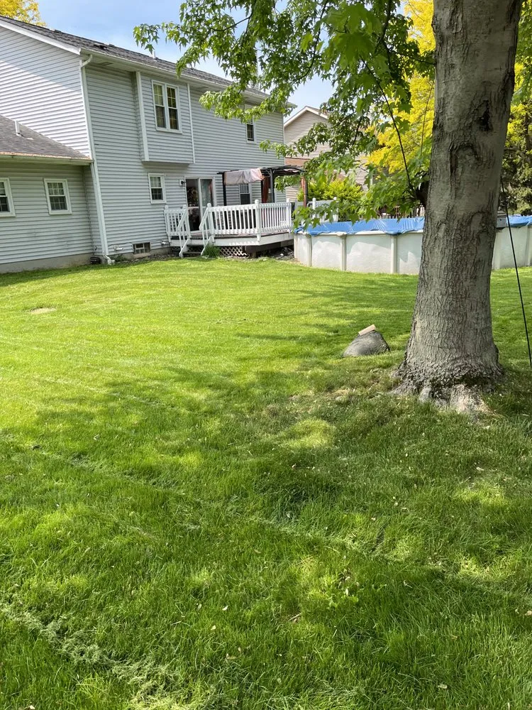 Trusted yard maintenance in Strongsville, OH - I Know A Guy Lawn Care