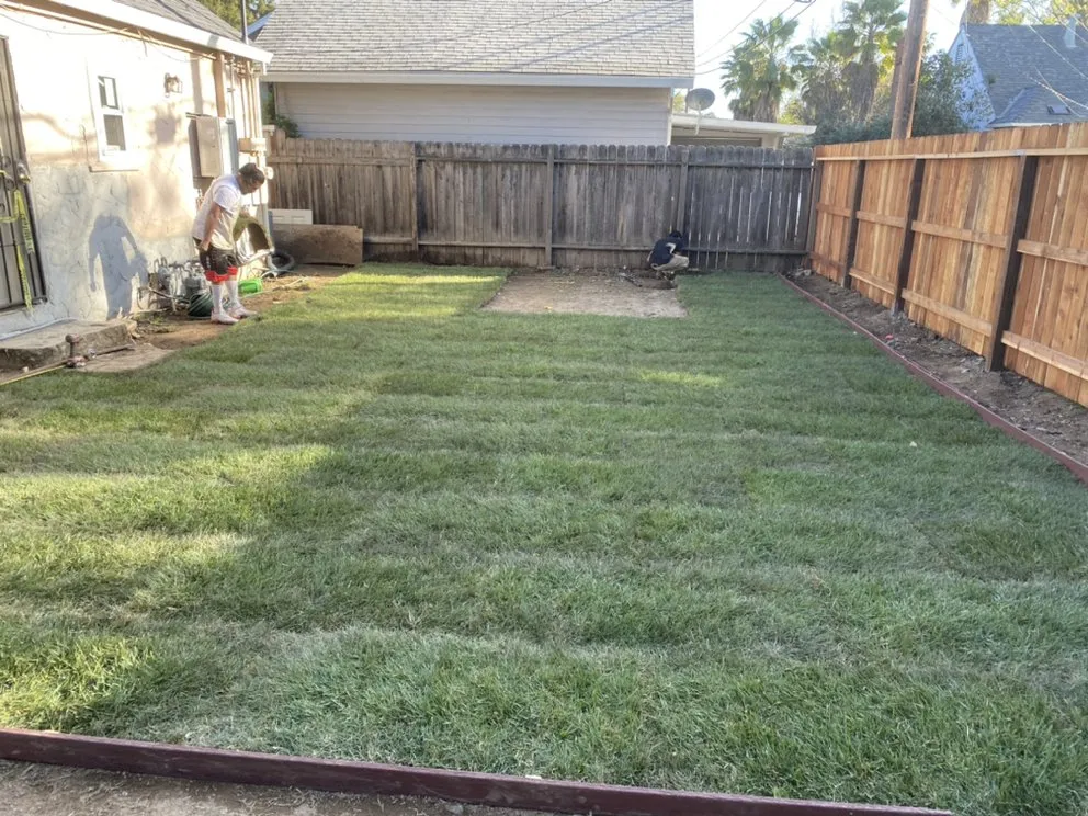 Local landscaping services in Sacramento, CA by i Love Grass Lawn Care