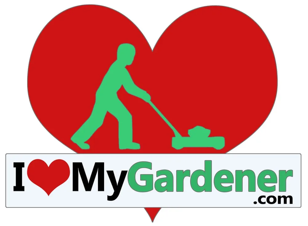 Professional landscape design for homes in Folsom, CA by I Love My Gardener