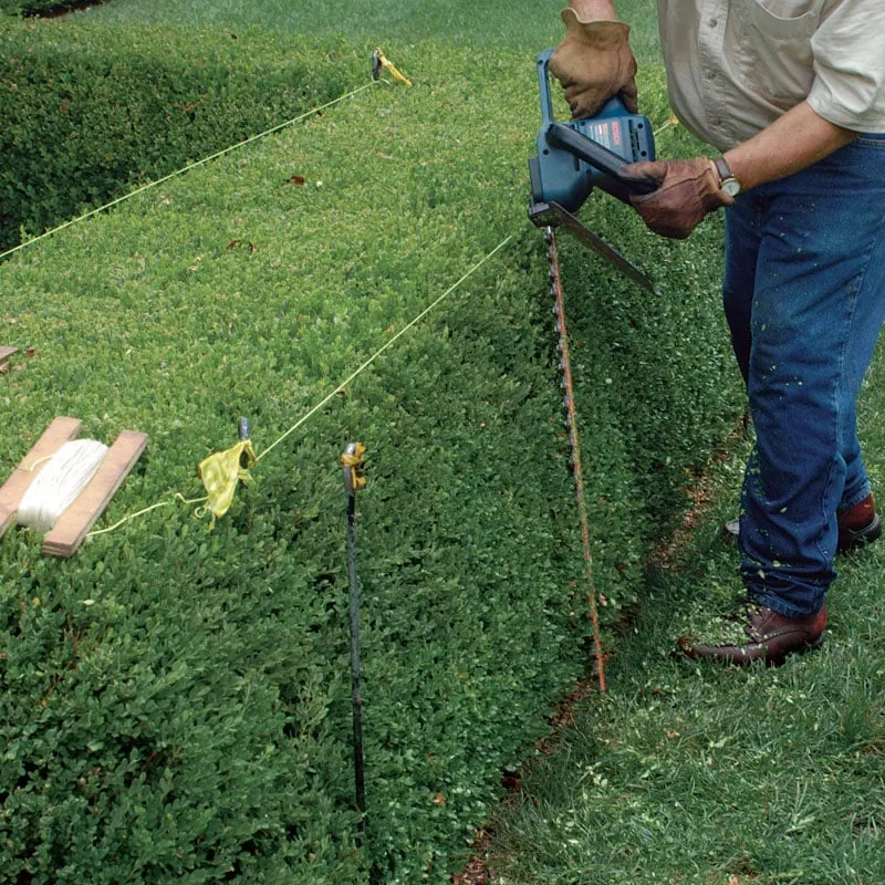 Expert yard maintenance for residential properties across Folsom, CA - I Love My Gardener