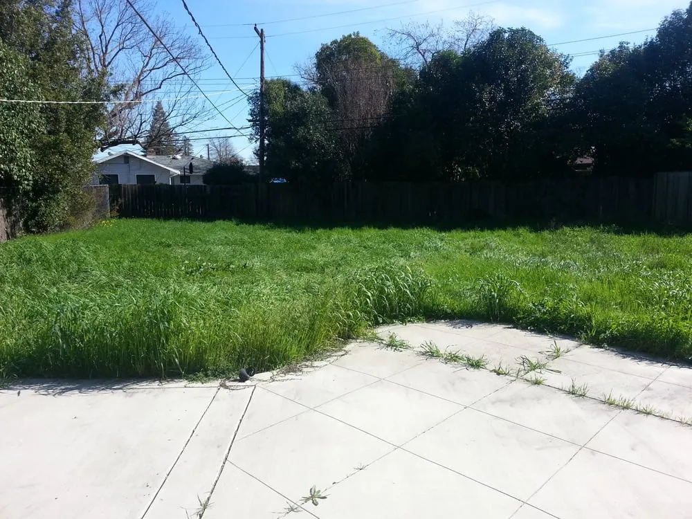 Local garden landscaping in Folsom, CA by I Love My Gardener