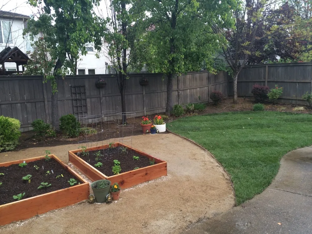 Expert yard maintenance in Folsom, CA by I Love My Gardener