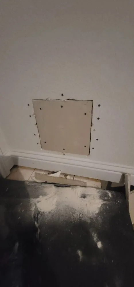 Affordable yard cleanup service in Austin, TX - I Love My Handyman Service