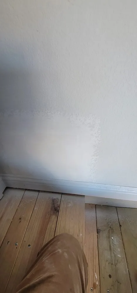 Local landscape installation in Austin, TX - I Love My Handyman Service