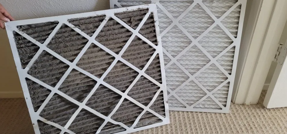 Reliable lawn care service experts serving Austin, TX - I Love My Handyman Service