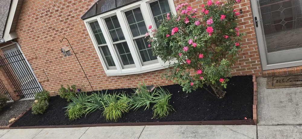 Reliable landscape installation for beautiful yards across Rockwood, TN - I Lyke Landscaping & Hardscaping