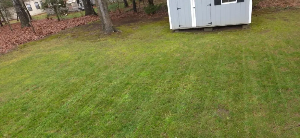 Top-rated outdoor landscaping with custom design in Rockwood, TN by I Lyke Landscaping & Hardscaping