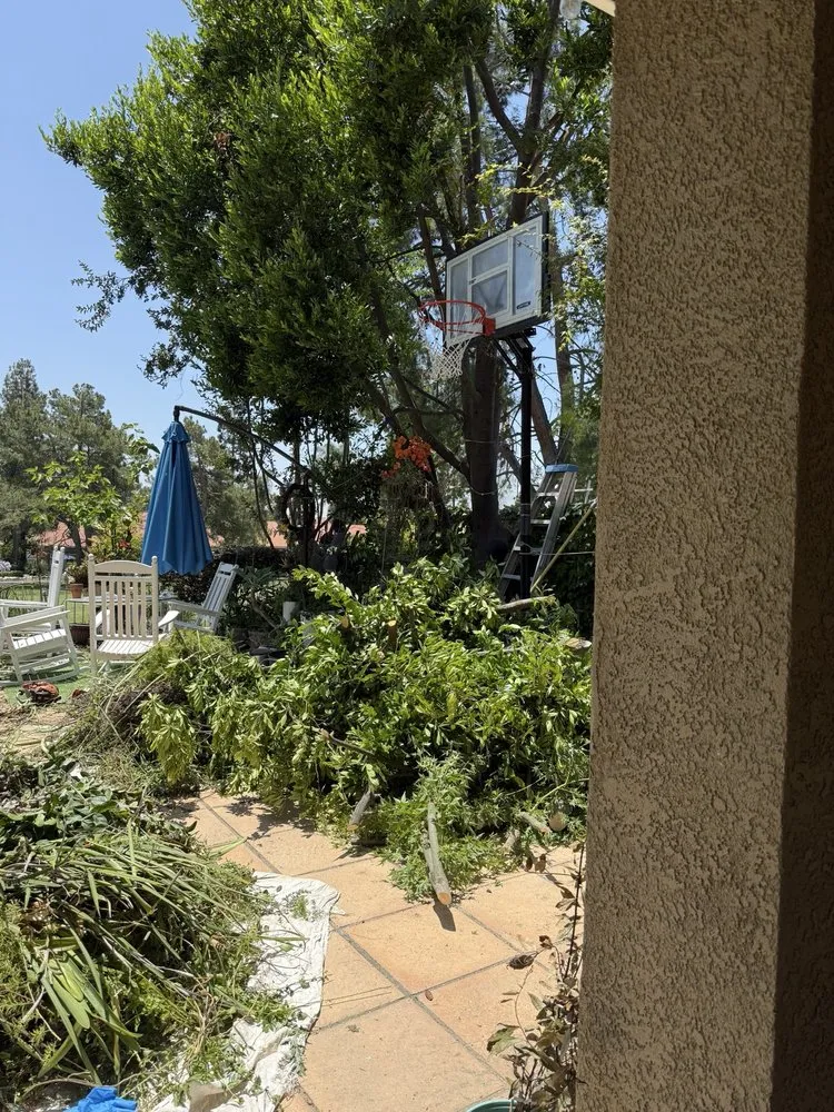 Local lawn mowing service for residential properties in Montclair, CA by I M Landscaping