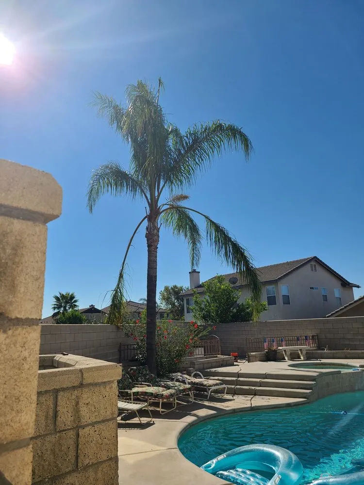 Professional landscaping services for residential properties across Montclair, CA - I M Landscaping