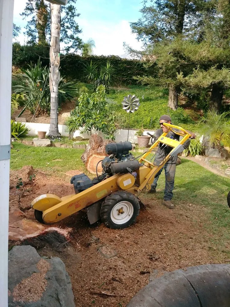 Professional landscape installation for residential properties across Montclair, CA - I M Landscaping