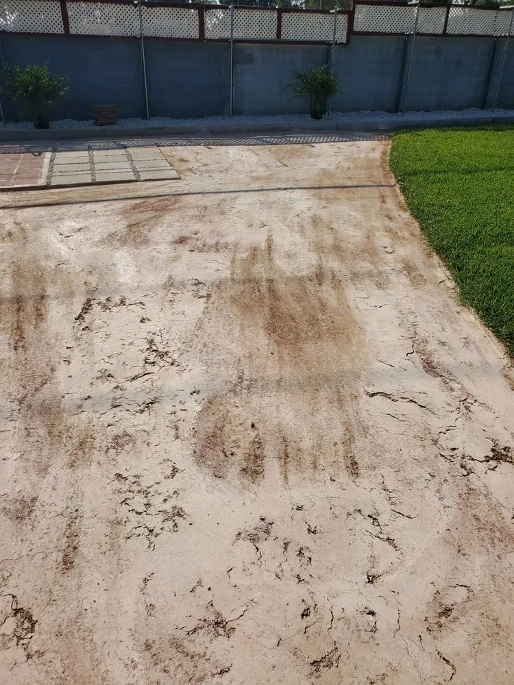 Professional lawn care service in Montclair, CA by I M Landscaping