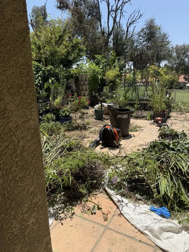 Professional landscaping services near you across Montclair, CA - I M Landscaping