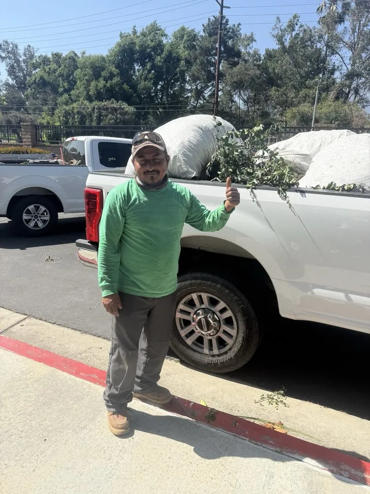 Local garden landscaping in Montclair, CA - I M Landscaping