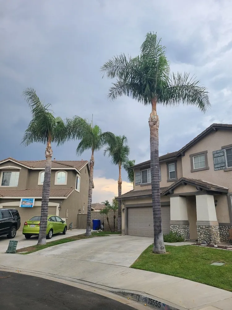 Affordable yard cleanup service with custom design across Montclair, CA - I M Landscaping