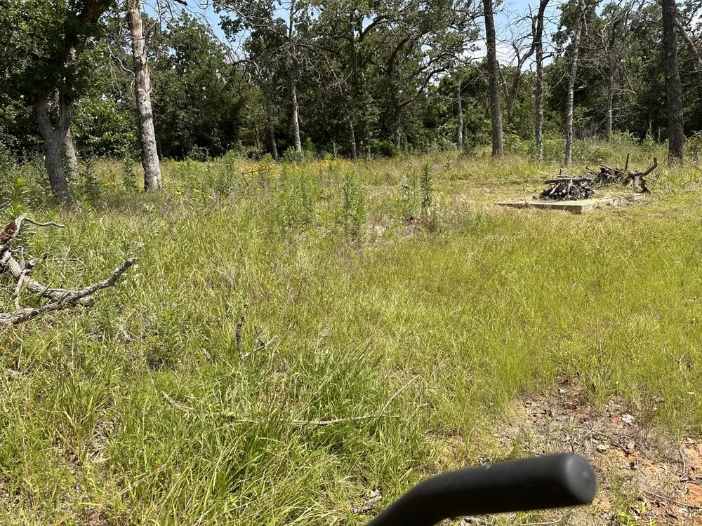 Trusted residential landscaping experts serving DeSoto, TX - I-M Lawncare & More