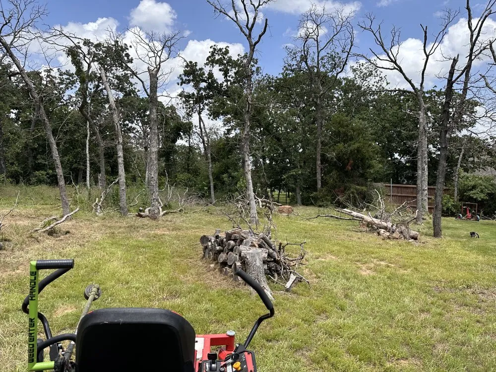 Affordable yard maintenance in DeSoto, TX by I-M Lawncare & More