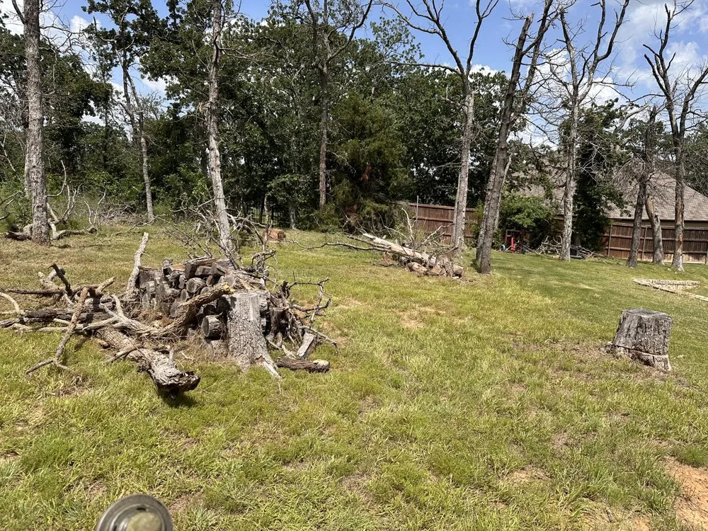 Reliable garden landscaping in DeSoto, TX by I-M Lawncare & More