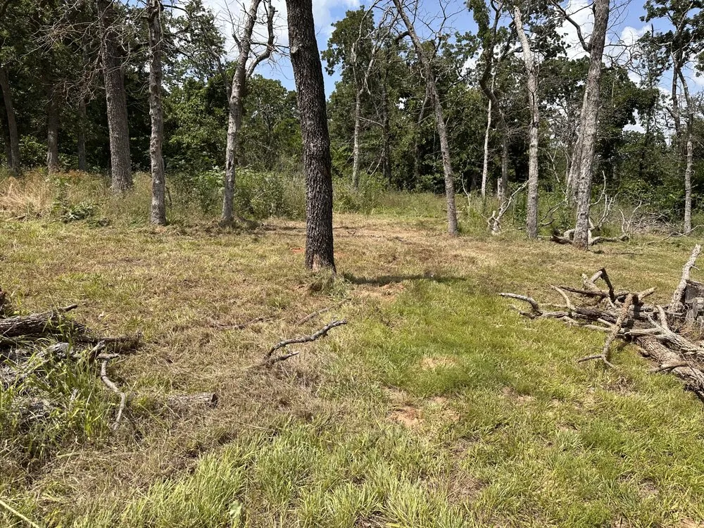 Reliable garden landscaping in DeSoto, TX - I-M Lawncare & More