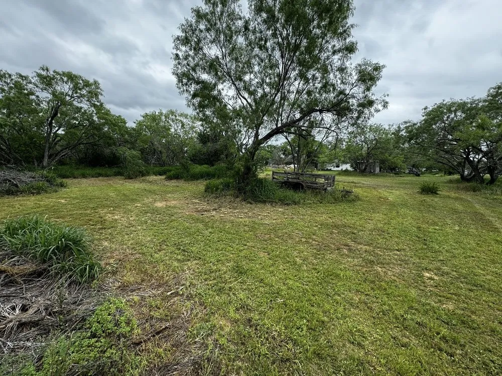 Professional garden landscaping in Elmendorf, TX by I Mow Lawns