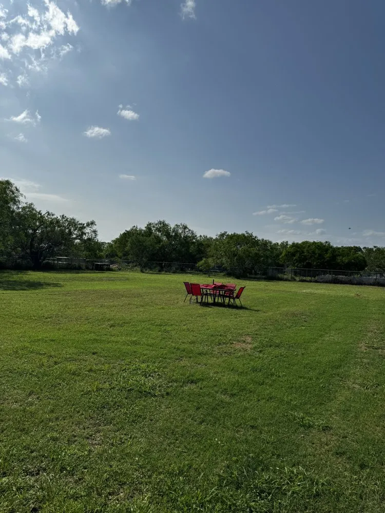 Affordable landscaping services in Elmendorf, TX - I Mow Lawns