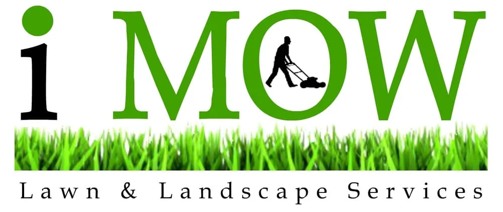 Trusted yard cleanup service experts serving Little Rock, AR - i MOW
