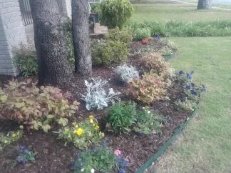 Professional residential landscaping experts serving Little Rock, AR - i MOW