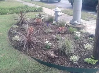 Expert garden landscaping in Little Rock, AR by i MOW