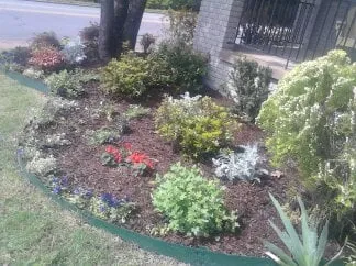 Reliable outdoor landscaping experts serving Little Rock, AR - i MOW