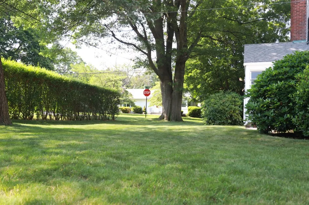 Reliable lawn care service in Stratford, CT - I N Services