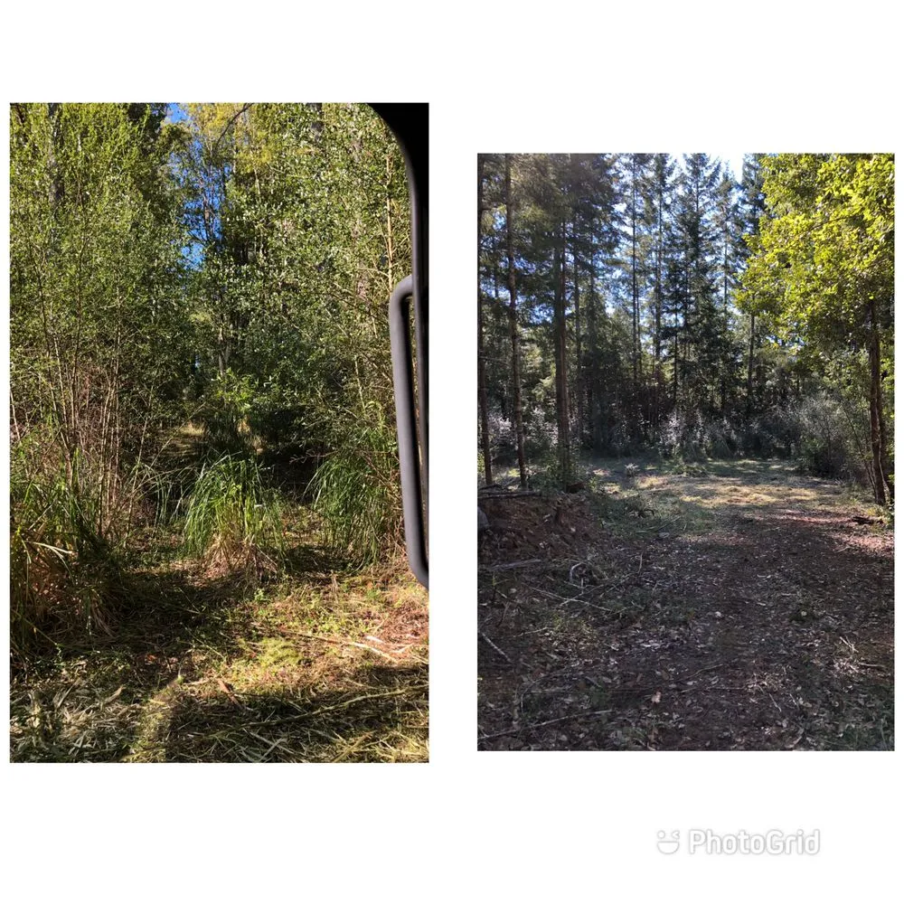 Professional yard maintenance for outdoor upgrades in Eureka, CA by I Noah Guy Forestry