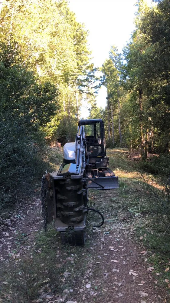 Trusted outdoor landscaping in Eureka, CA - I Noah Guy Forestry