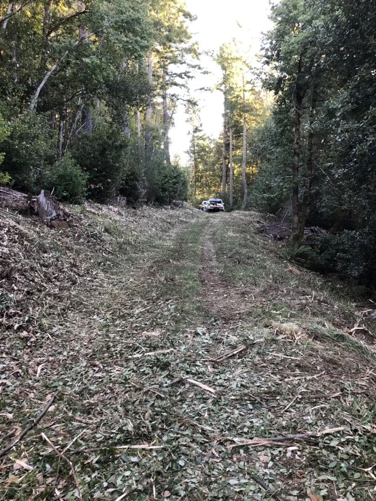 Custom landscape design for beautiful yards across Eureka, CA - I Noah Guy Forestry