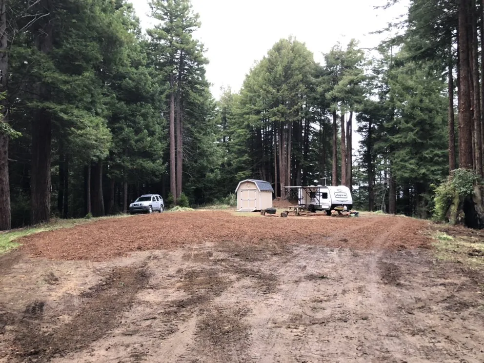Local landscape installation for year-round maintenance in Eureka, CA by I Noah Guy Forestry