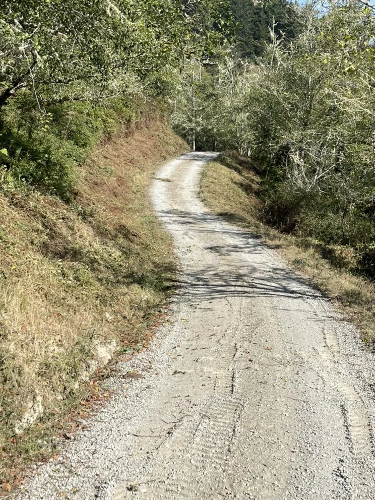 Top-rated garden landscaping in Eureka, CA by I Noah Guy Forestry