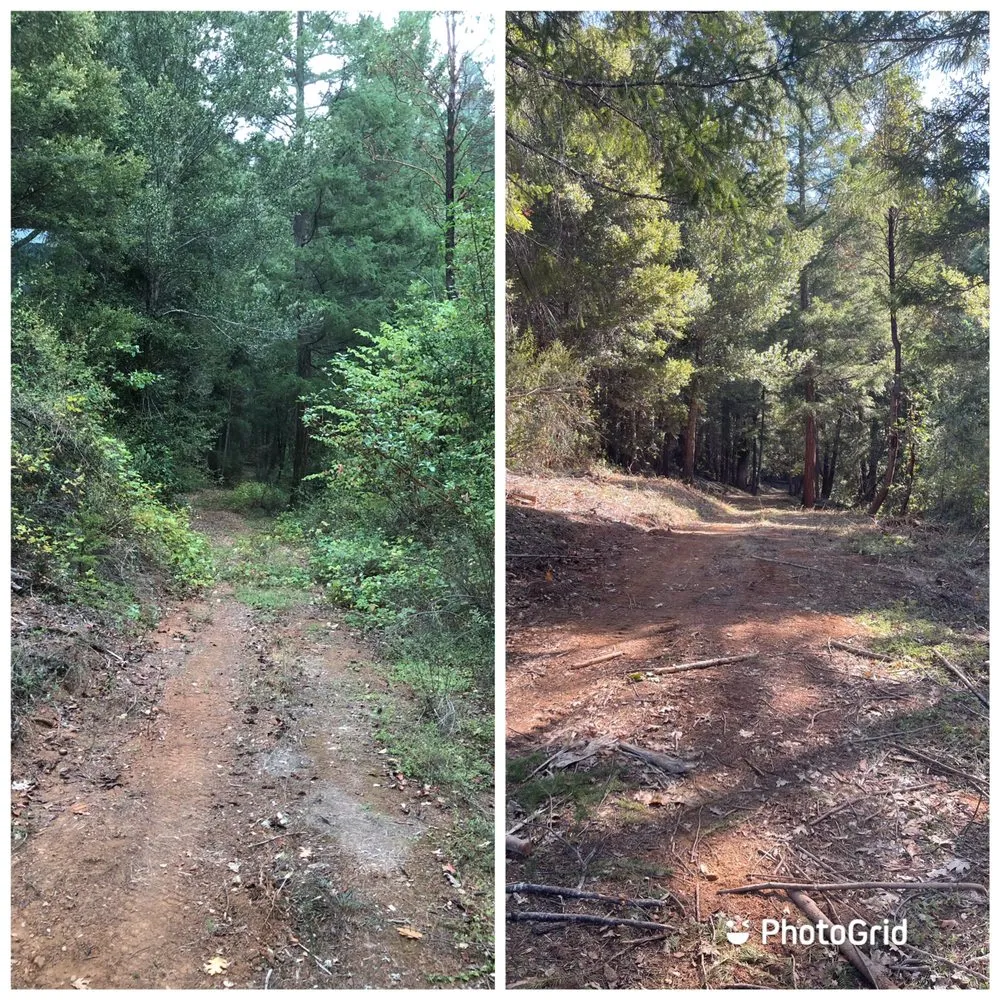 Expert landscape design experts serving Eureka, CA - I Noah Guy Forestry