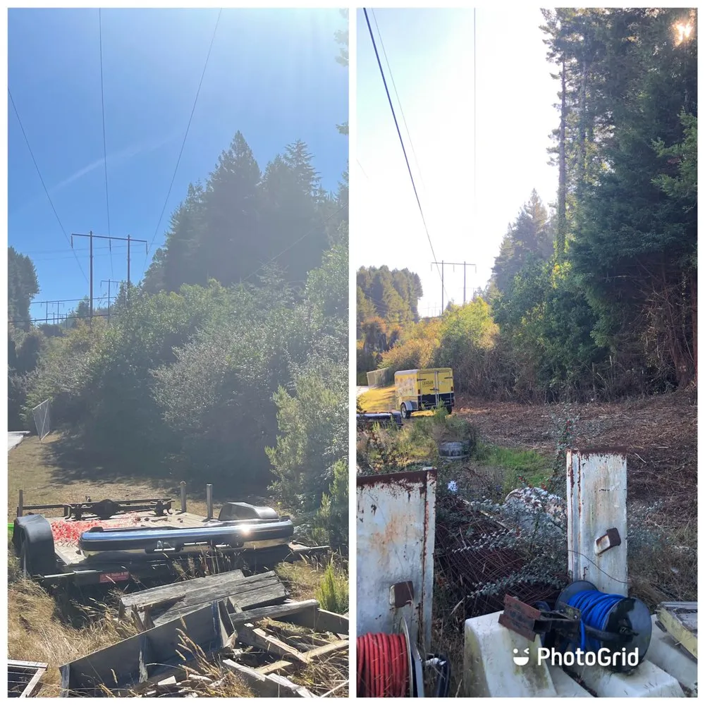 Professional lawn care service experts serving Eureka, CA - I Noah Guy Forestry