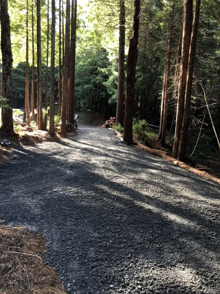 Expert yard maintenance in Eureka, CA by I Noah Guy Forestry