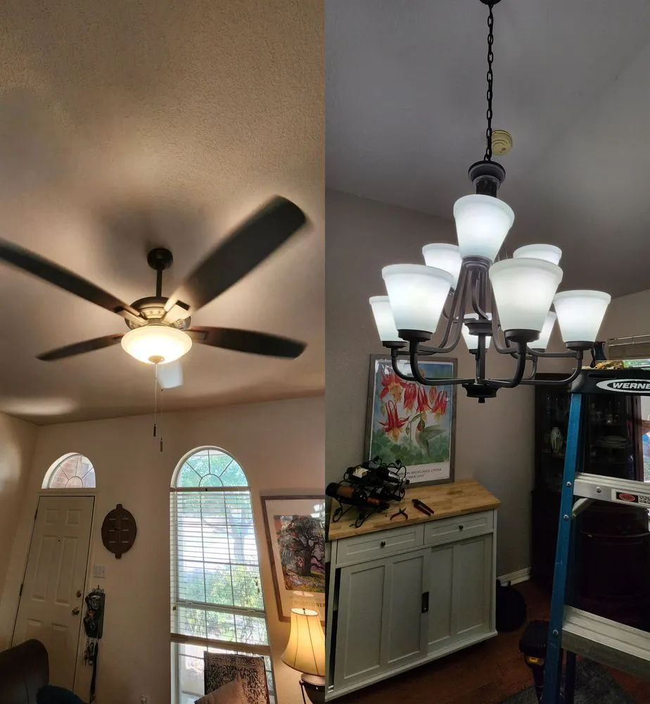 Affordable yard cleanup service in Taylor, TX by I Noah Guy Services