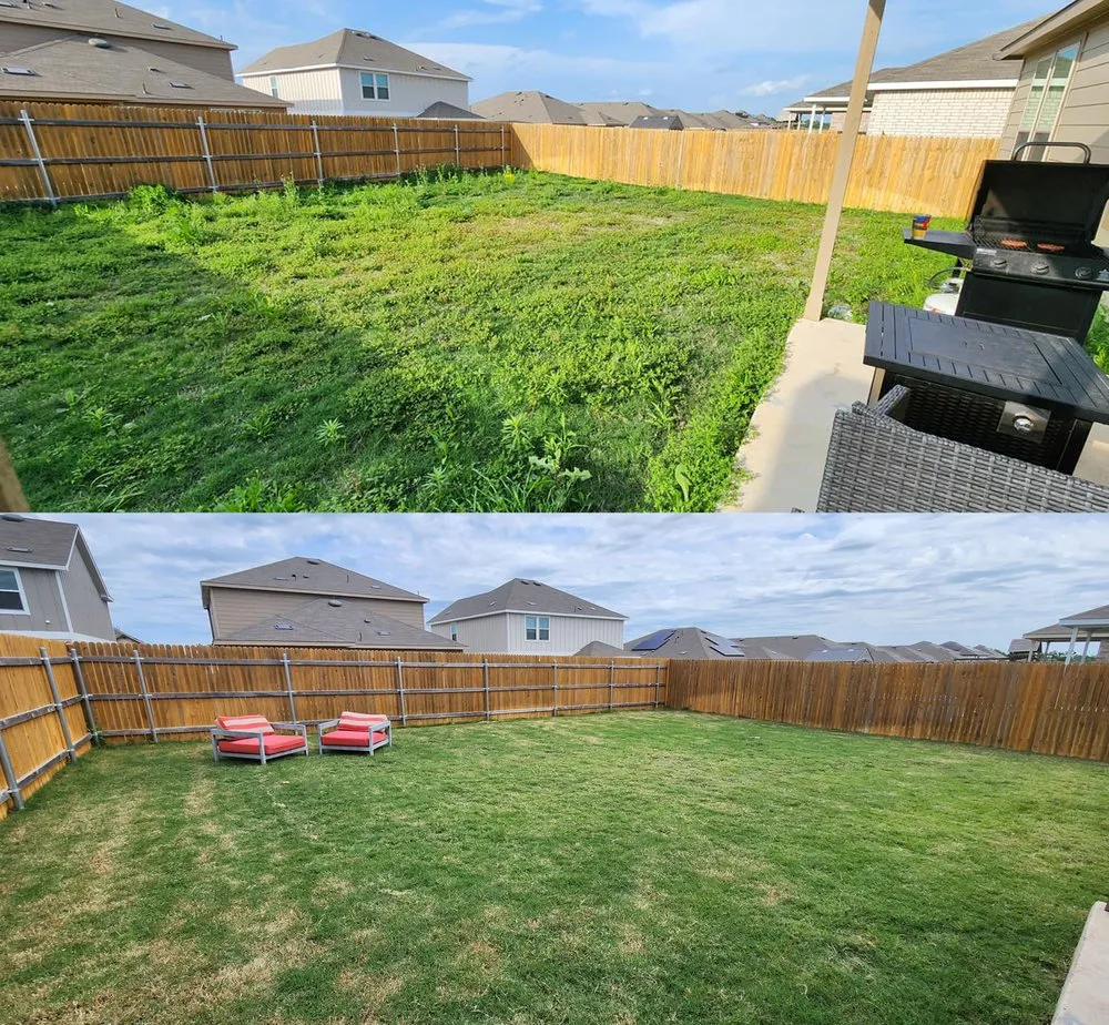 Custom lawn mowing service near you in Taylor, TX by I Noah Guy Services