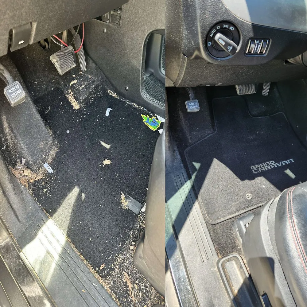 Local outdoor landscaping experts serving Taylor, TX - I Noah Guy Services